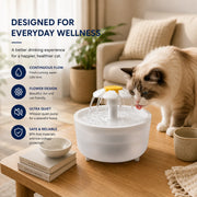 AquaBloom™ 1.2L Cat Water Fountain | Elvaroo Pets