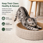 CozyClaw™ Cat Scratch Lounge